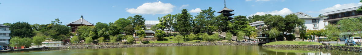 奈良公園