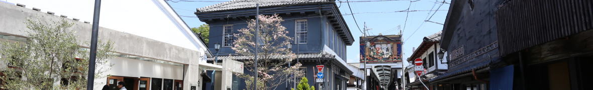 長浜城と噴水