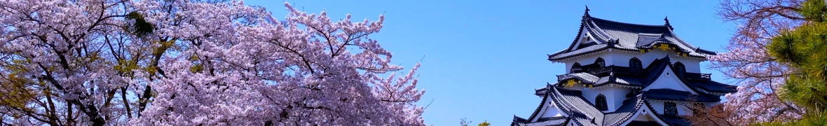 彦根城