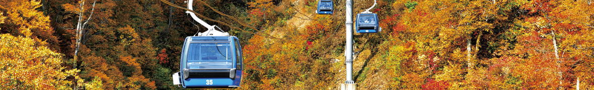 苗場の紅葉