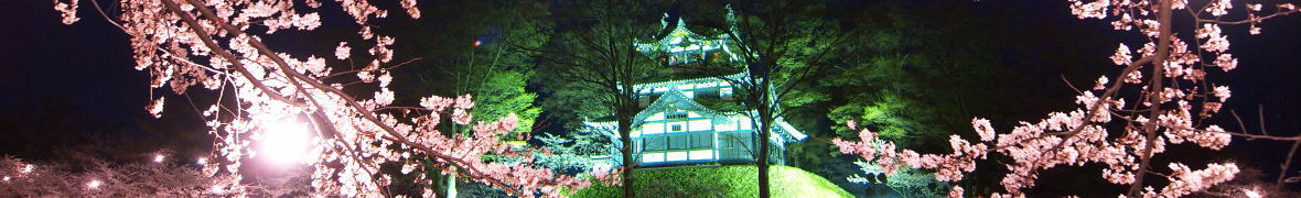 高田の夜桜