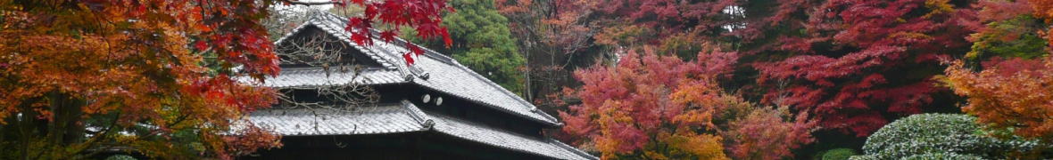 麻生大浦荘