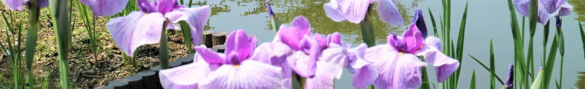 轟泉自然公園