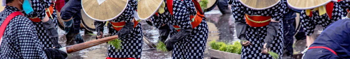 壬生の花田植