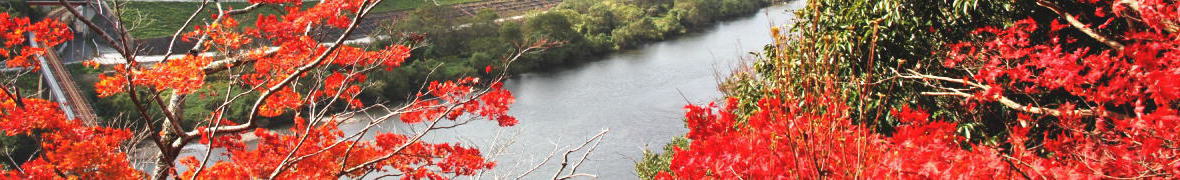 江の川