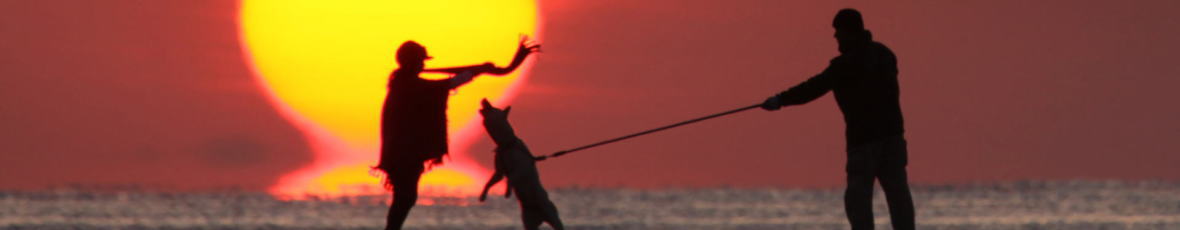 だるま夕日