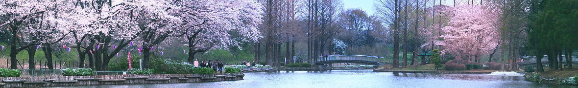 上尾丸山公園