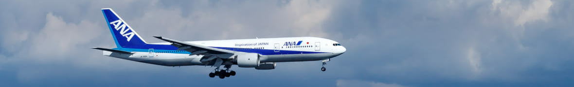 羽田の飛行機