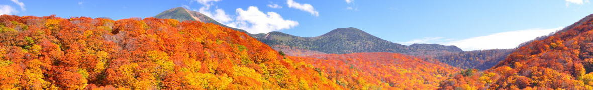 八甲田山