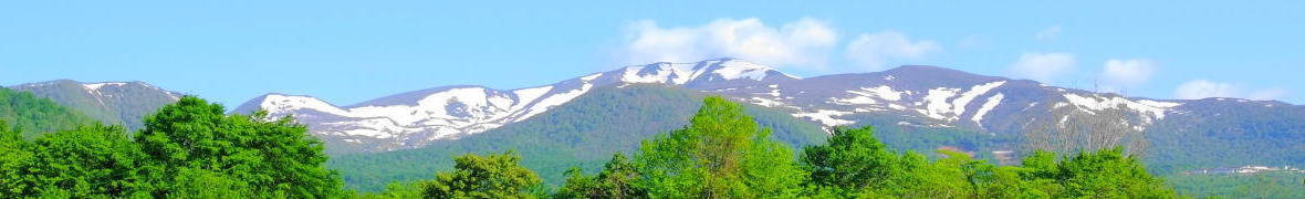 栗駒山
