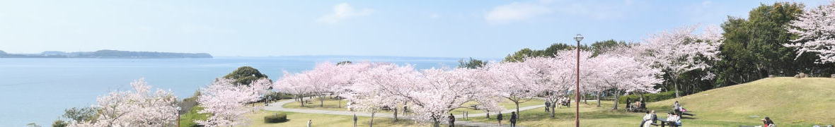 浜名湖SAから